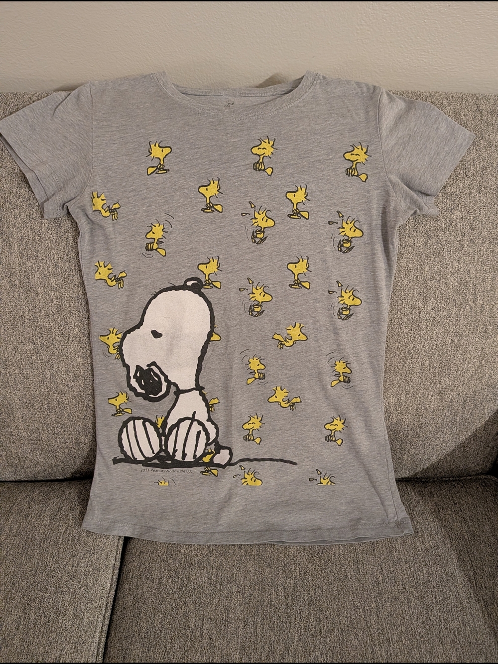 Peanuts Snoopy & Woodstock Gray Short Sleeve Graphic Tee